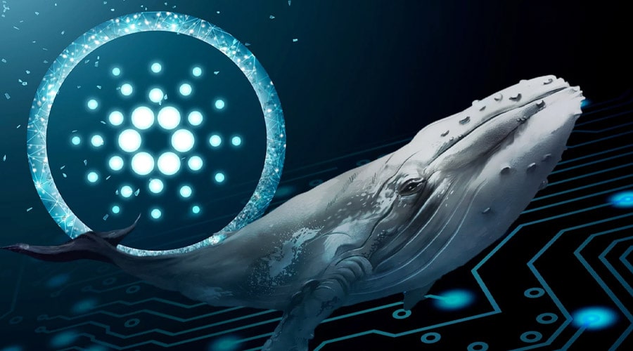 cardano-whale-activity-up-10x-will-ada-break-the-1-barrier