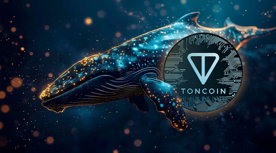 قیمت تون کوین (TON) آماده انفجار؛ نهنگ‌ها وارد بازی شدند!