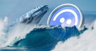 aave-whales-15-mln-buy-points-to-recovery-can-it-hold-270