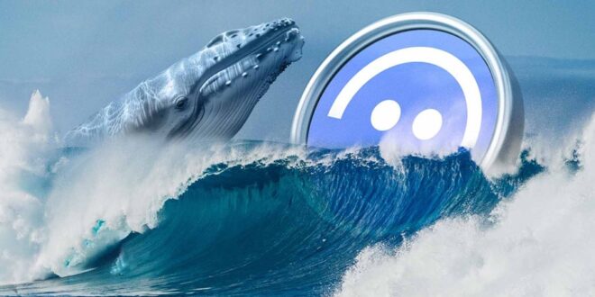 aave-whales-15-mln-buy-points-to-recovery-can-it-hold-270