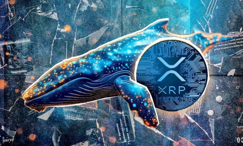 whales-scoop-up-130m-xrp-as-price-eyes-3-8