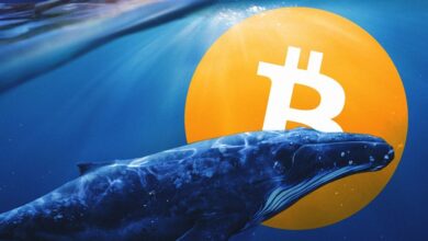 satoshi-era-bitcoin-whale-moves-another-242-billion-whats-happening-