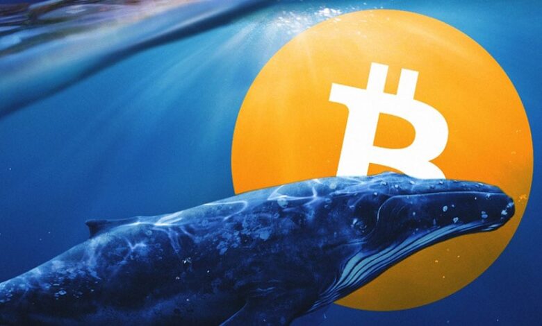 satoshi-era-bitcoin-whale-moves-another-242-billion-whats-happening-