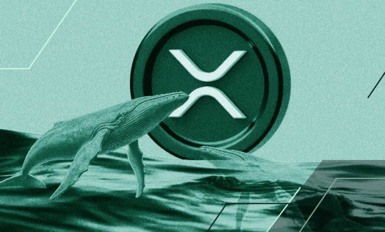 همه چیز برای جهش ریپل (XRP) مهیاست؛ نهنگ‌ها به بازار بازگشتند
