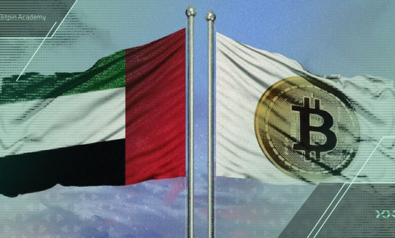 امارات و سنگاپور؛ ملت‌های شیفته کریپتو
