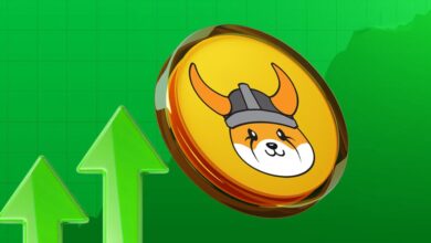 elon-musk-sparks-massive-floki-price-rally