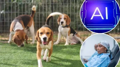 تشخیص سرطان با دقت 94 درصدی توسط سگ‌ها و هوش مصنوعی