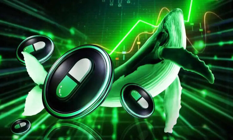 pump-coin-price-soars-as-new-whale-accumulates-23-5m-amid-market-dip
